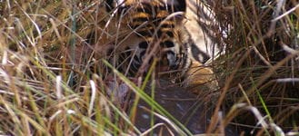 Khana National Park.